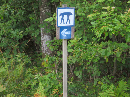 Canoe Portal.